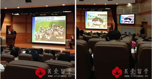 共筑留學橋梁 關愛留學參與廣島大學說明會，深化合作與咨詢服務