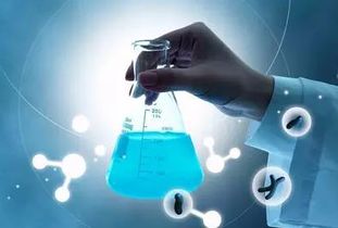 柳橙網最新留學動態 一網打盡留學就業、流程與資訊（123頁全解析）